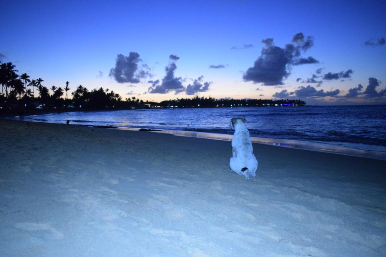 La Dolce Vita Beachfront Hotels, Las Terrenas, Samana Exterior foto